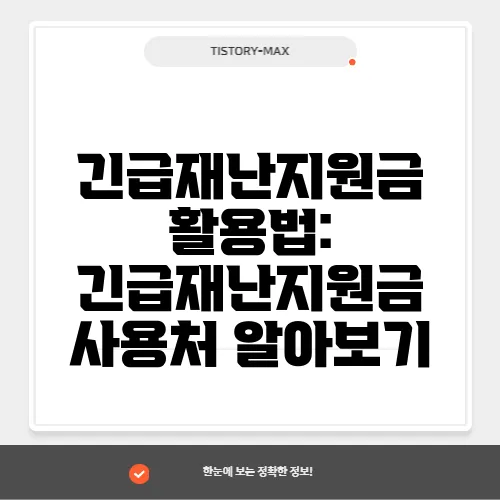 긴급재난지원금 활용법: 긴급재난지원금 사용처 알아보기
