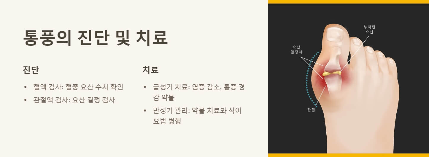 통풍 증상 원인