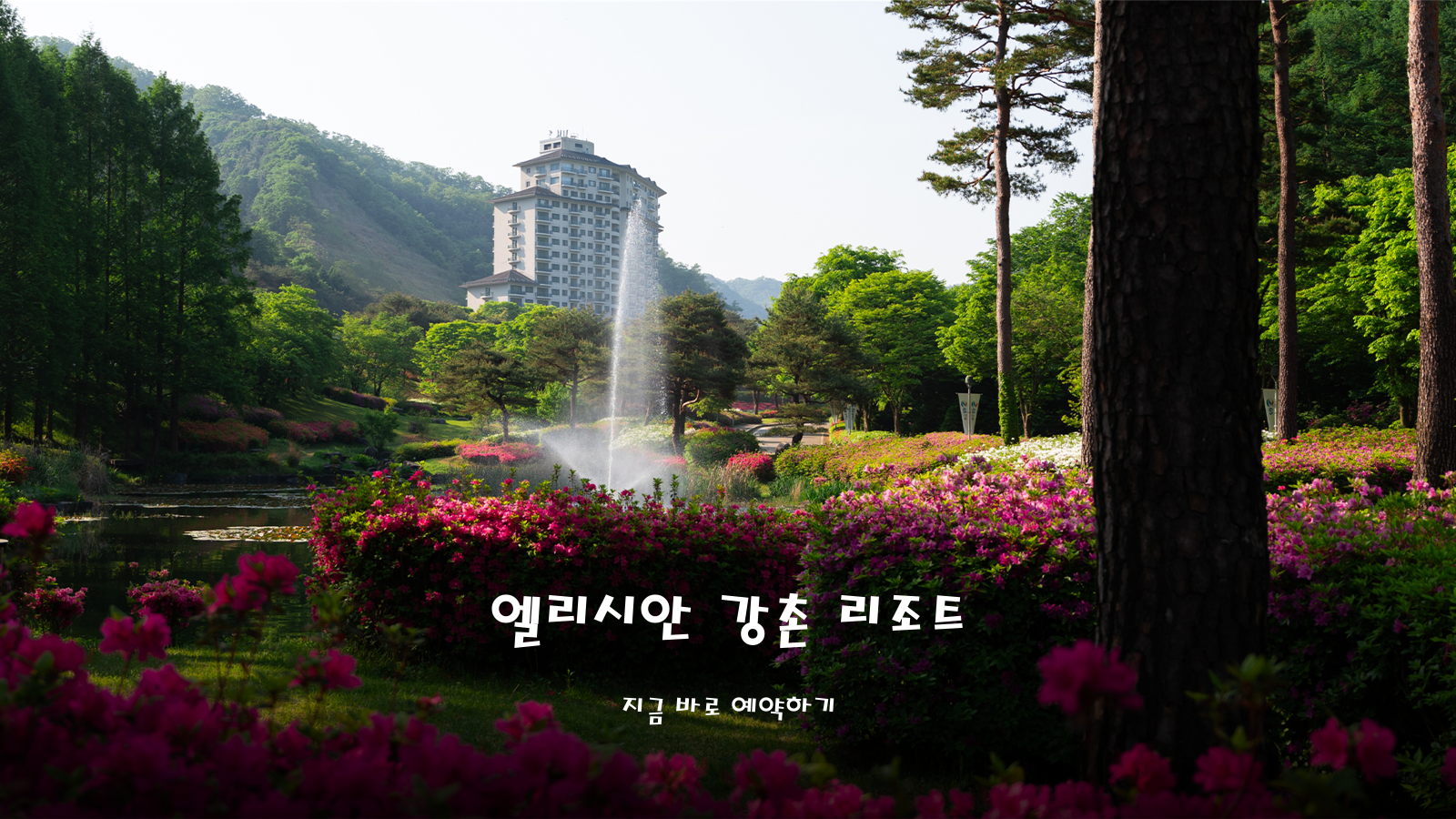 엘리시안 강촌 리조트