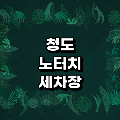 청도군 노터치 세차