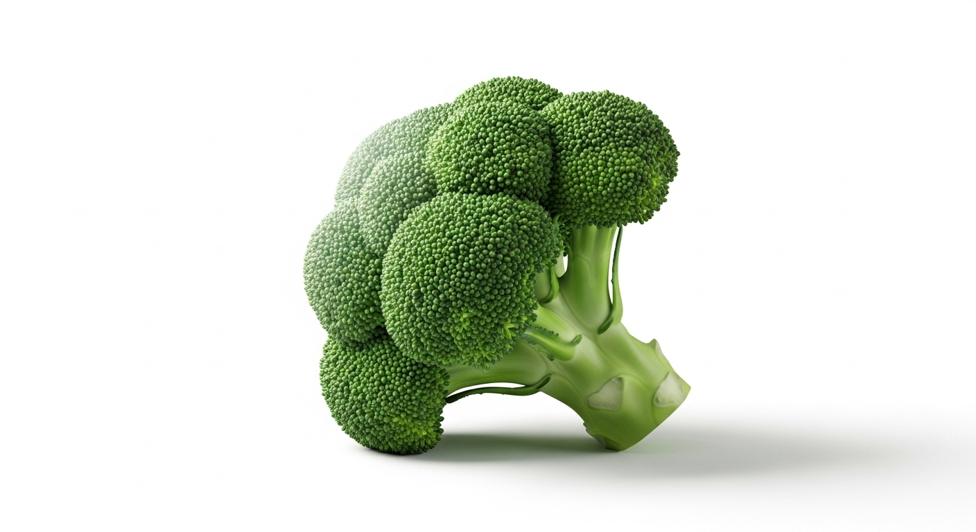 콜레스테롤 낮추는 음식