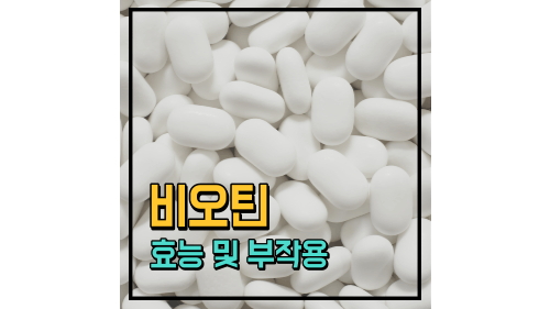 포스팅 썸네일 이미지