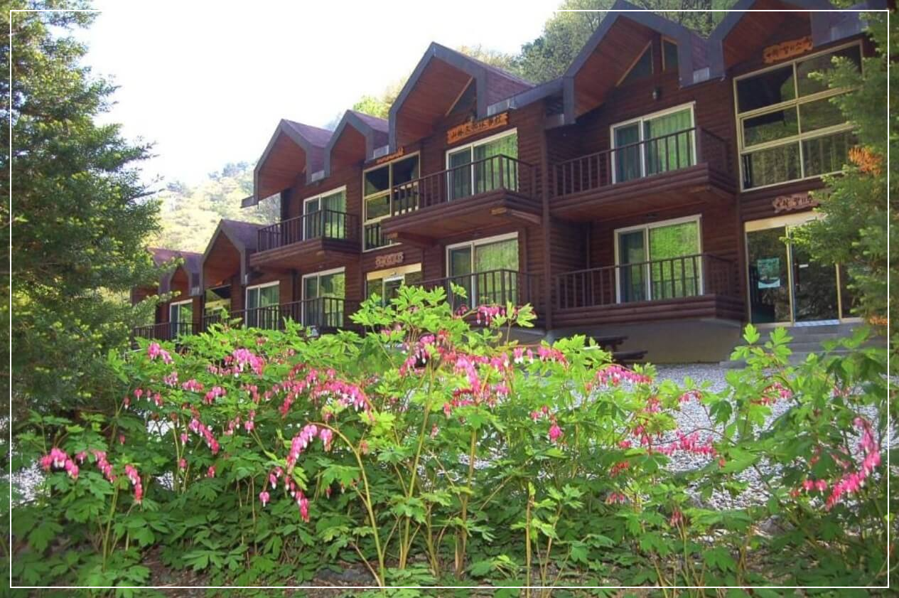 양양 가볼만한곳 베스트10 미천골 자연휴양림