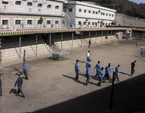 한국 현대사의 어두운 그림자: 형제복지원과 국가 폭력의 기록