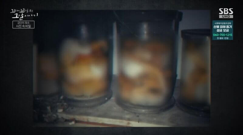 꼬꼬무 &lsquo;소록도&rsquo; 편 리뷰: 유리병 태아와 잃어버린 가족의 기록