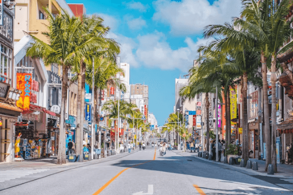 오키나와 렌터카 완벽 가이드: 초보도 빌리는 꿀팁!