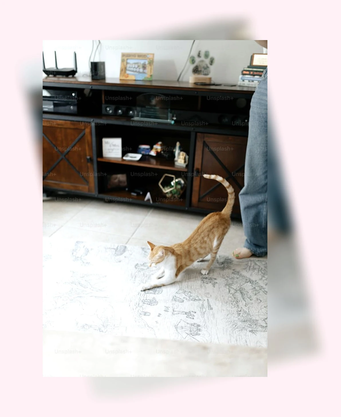 고양이 사냥 본능_1_subsection