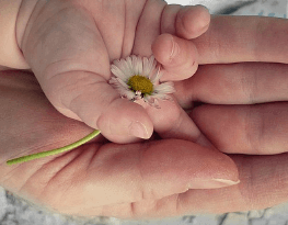 태아보험 가입 요령