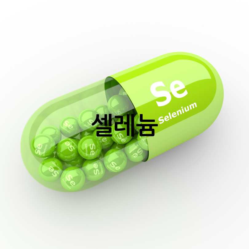 폐에 좋은 영양제