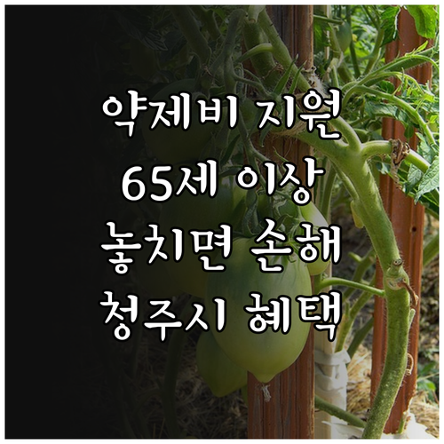 2025 청주시 65세 이상 약제비 ..