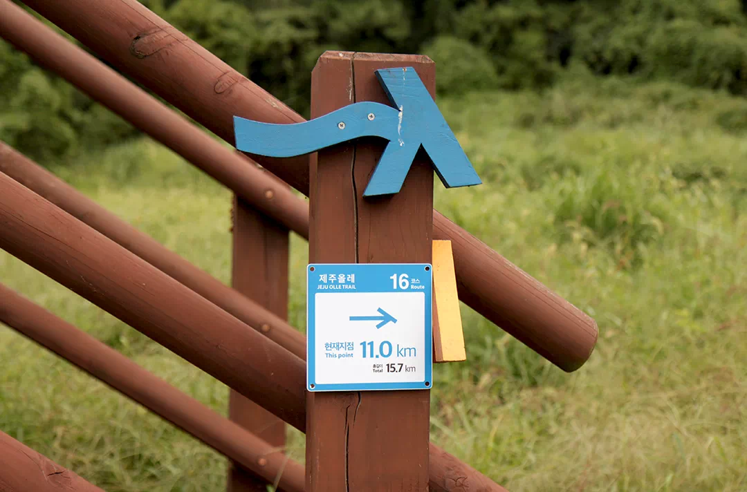 제주 올레길 16코스 고내 - 광령 올레 완주 후기와 상세 코스 안내