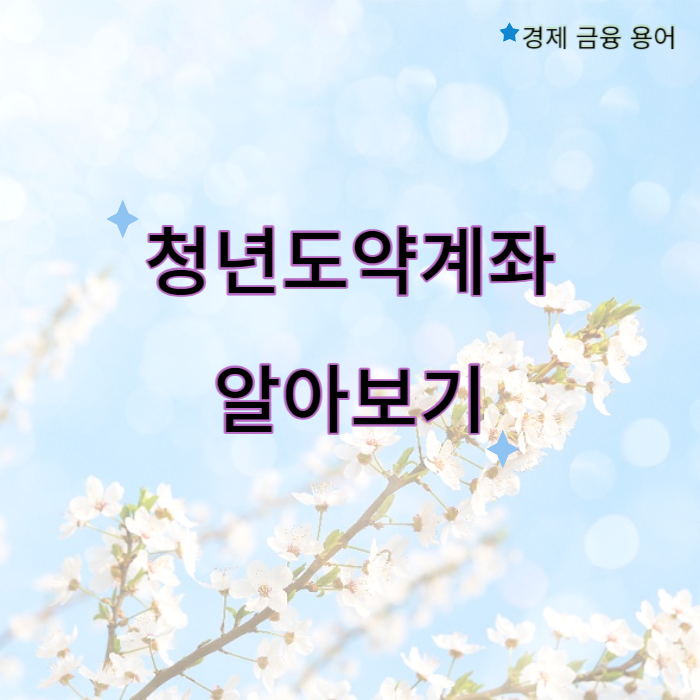 청년도약계좌 알아보기