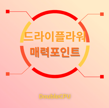 드라이플라워 매력포인트
