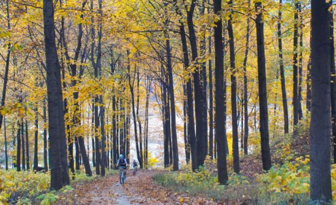 2025 경기도 단풍 명산 BEST ❘ 북한산&middot;남한산성&middot;광교산 등 추천 코스