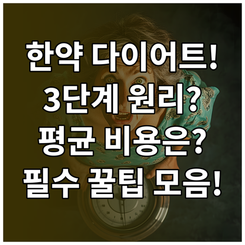 다이어트 한약의 3단계 감량 기전 분..