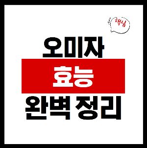 오미자 효능