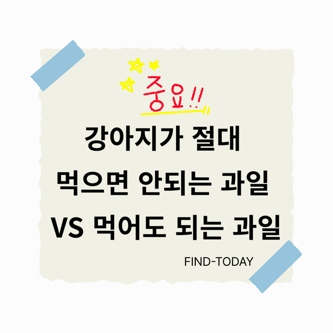 강아지가 먹으면 안되는 과일 (절대 주면 안되요) 강아지가 먹어도 되는 과일 (먹을수 있는 좋은 과일)