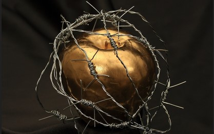 금으로 만든 사과가 가시철망에 둘러쌓여서 검은 천 위에 놓여있는 사진