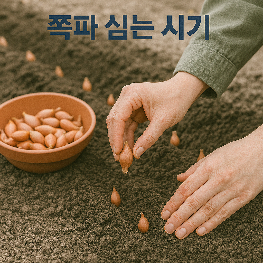 쪽파 심는 시기