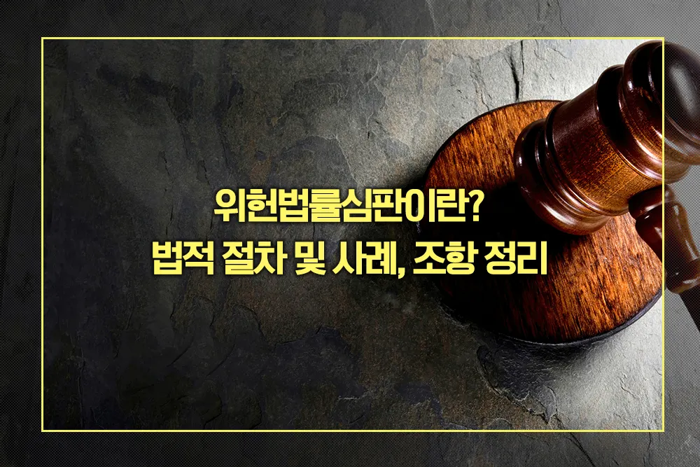 위헌법률심판 뜻 법적 절차 사례