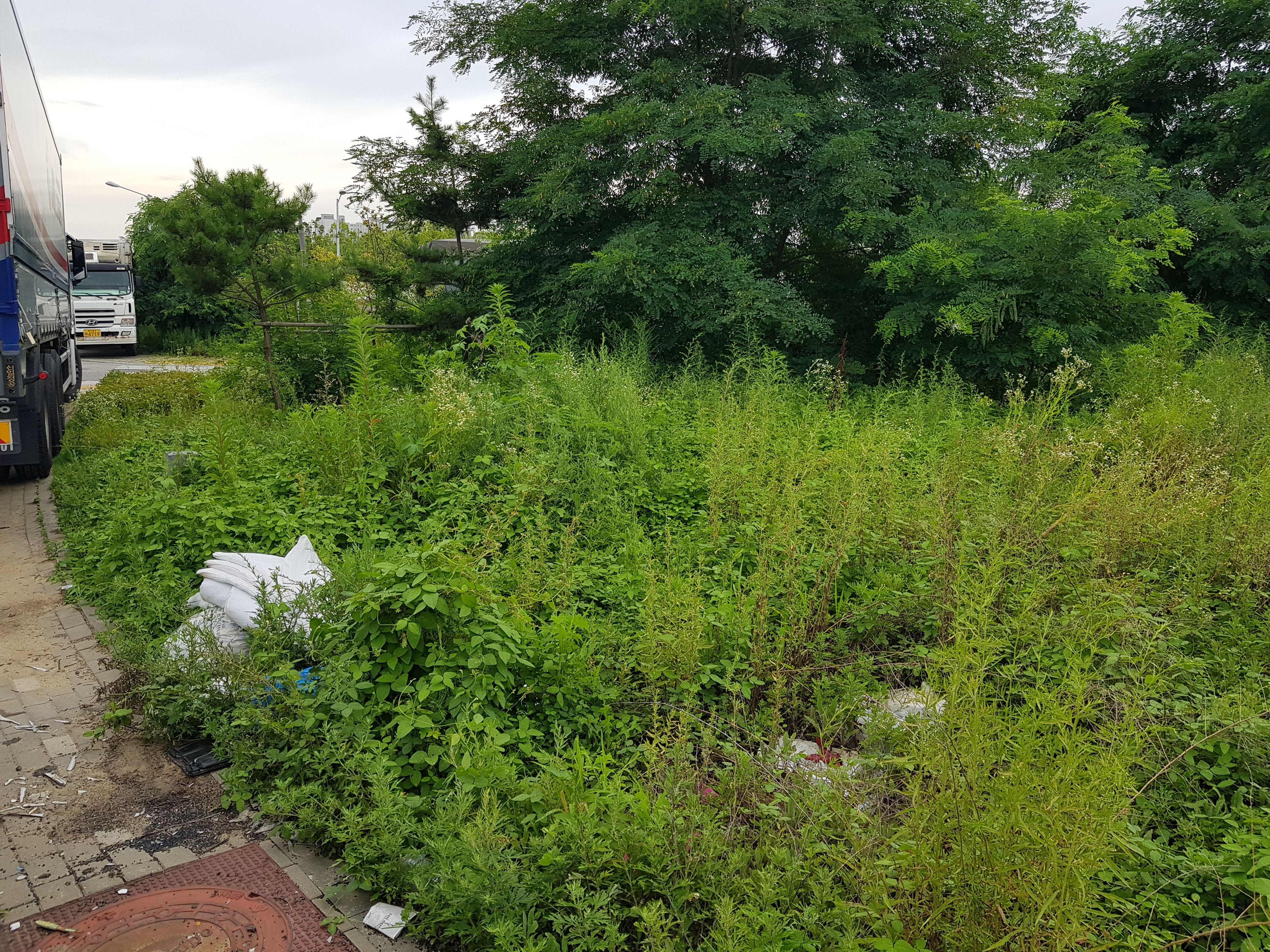 우리가 계약한 택지의 모습