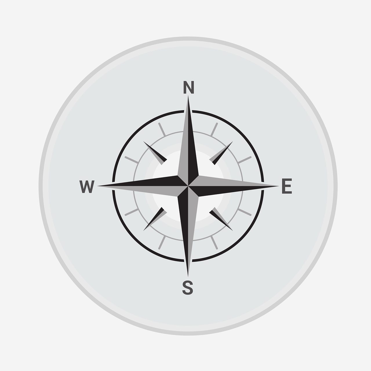 뉴칼레도니아뜸부기를 찾는 탐사대는 왜 실패했는가?