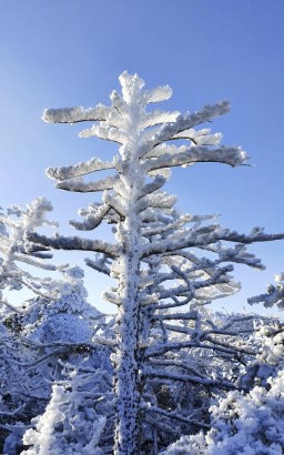 겨울철 국내 여행지