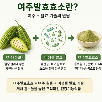 여주발효효소-효능-뜻-먹는법-가격-효과