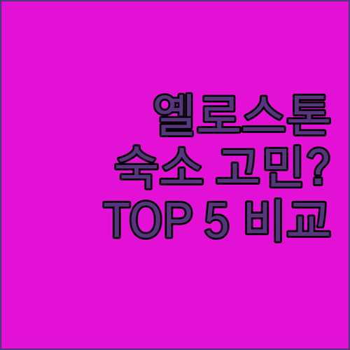 옐로스톤 여행, 어디서 묵을까? 인기