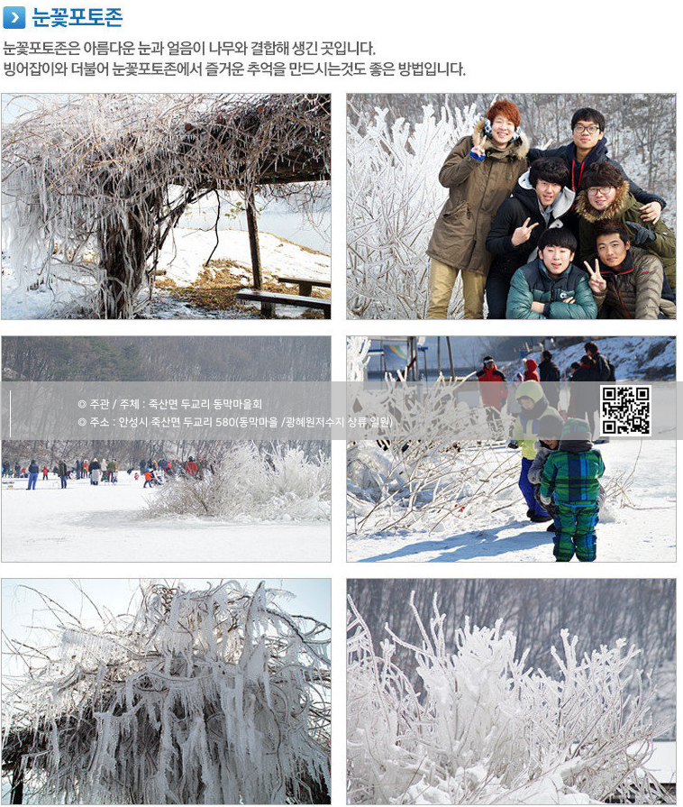  안성빙어 축제 프로그램