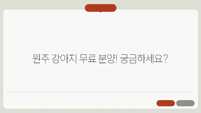원주강아지무료분양 알아보시나요