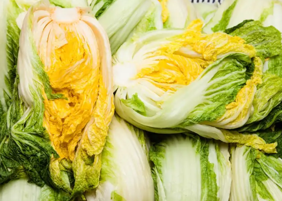 2024 절임배추 사전예약 가격비교 예약방법