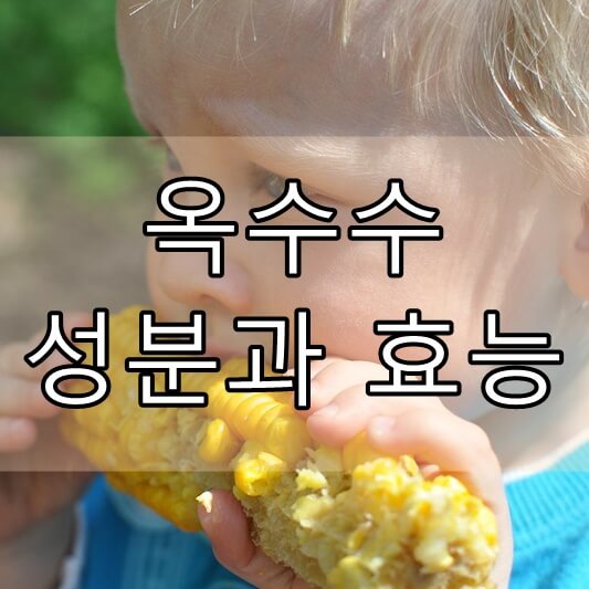 옥수수 성분과 효능&#44; 부작용