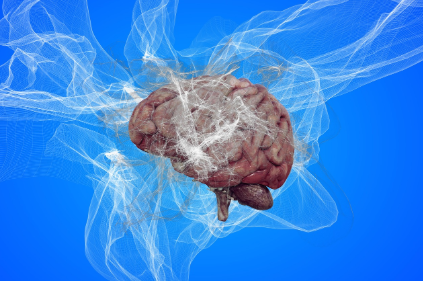 첫 3일, 불안과 충동 – 손이 허전한 순간들을 마주하다