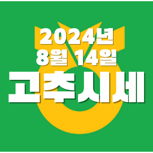 24년 고추시세 (8월 14일 수요일)