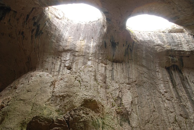 동굴 박쥐 집단이 줄면 생기는 일: 동굴의 생태학으로 보는 연쇄 효과