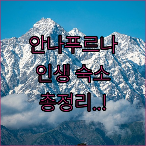 사랑콧 마운틴 로지부터 가성비 숙소까..