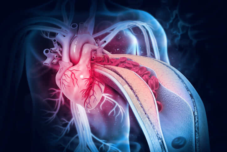 고혈압 원인, 증상, 치료법 설명에 쓰이는 인체 심장과 혈류 흐름 3D 일러스트