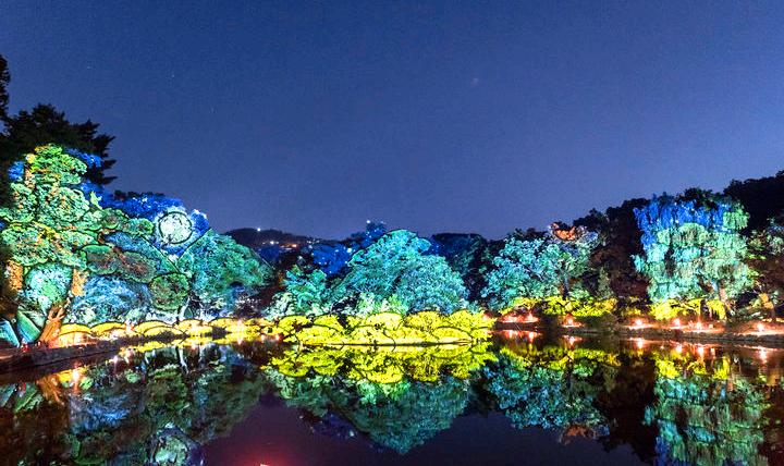 창경궁 물빛연화