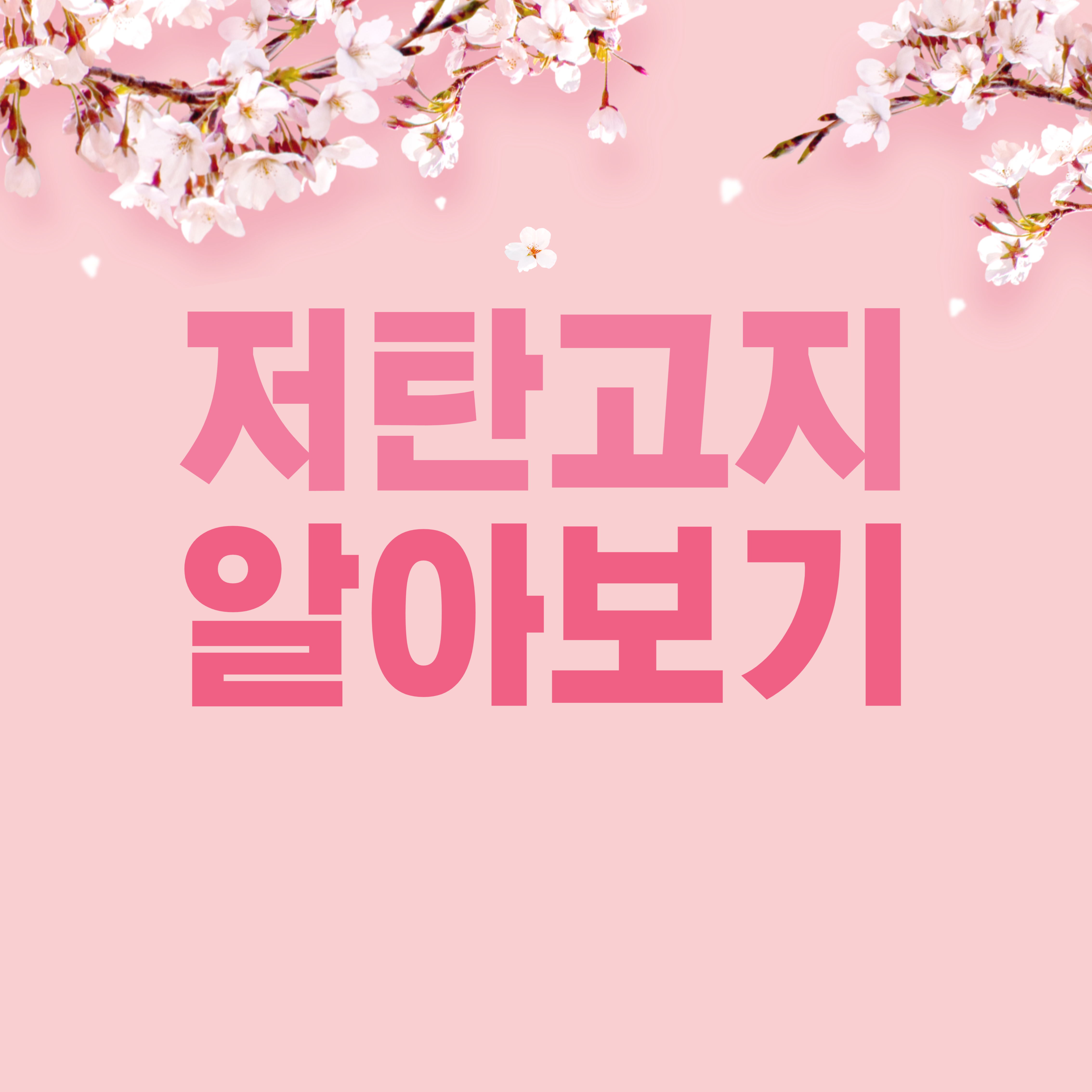 저탄고지 알아보기
