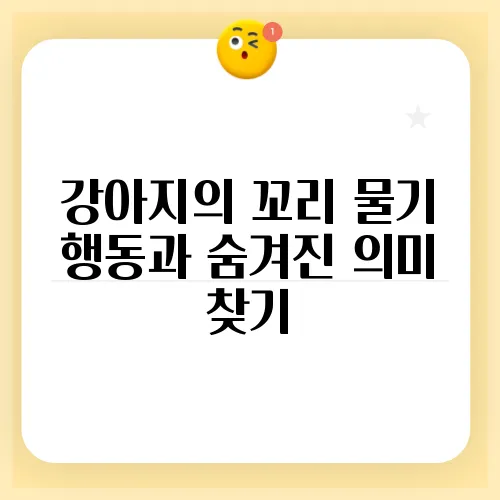 강아지의 꼬리 물기 행동과 숨겨진 의미 찾기