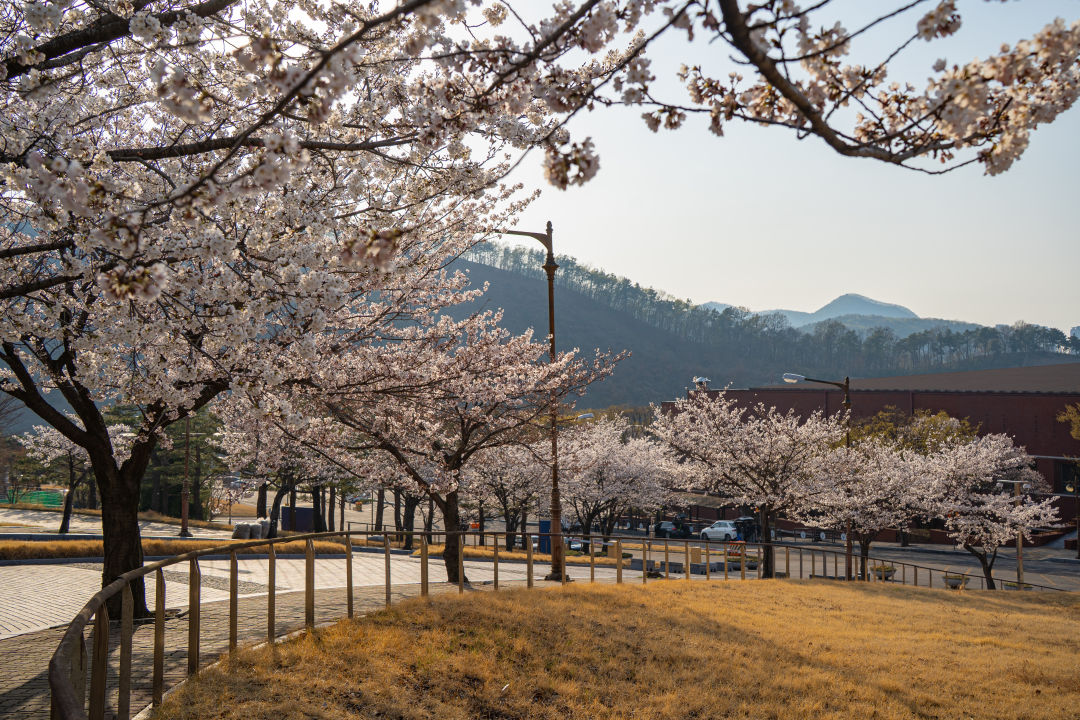 봉담 장안대학교 캠퍼스