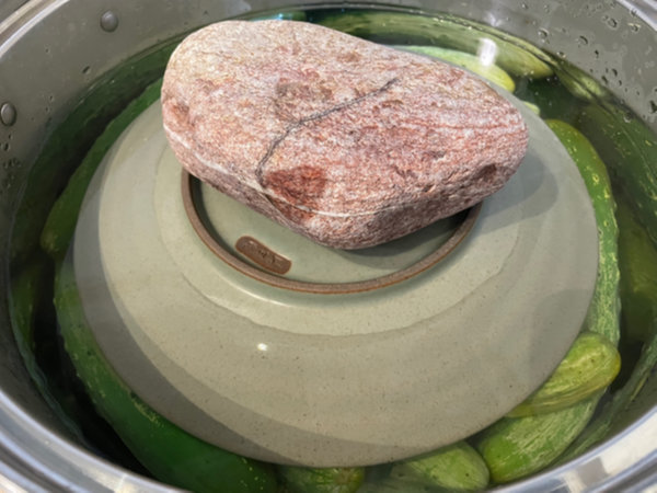 오이지 담그는 방법 - 접시 위에 누름돌 얹어서 오이가 공기 접촉 전혀 못하게 차단, 절임물 다 식으면 곰솥 뚜껑 덮기