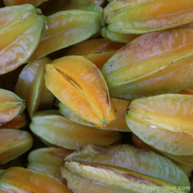 스타프루트 효능