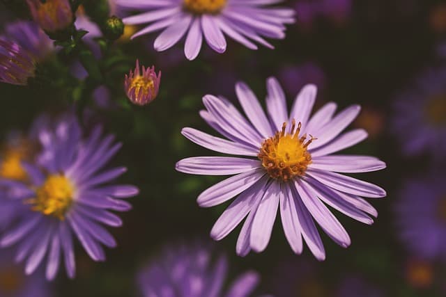 인도네시아 '루마 아단(Rumah Adat)'과 한옥의 조화