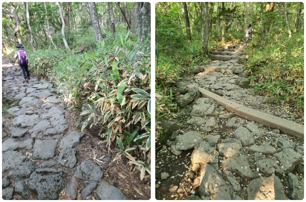 조릿대와 현무암 계단 무한반복