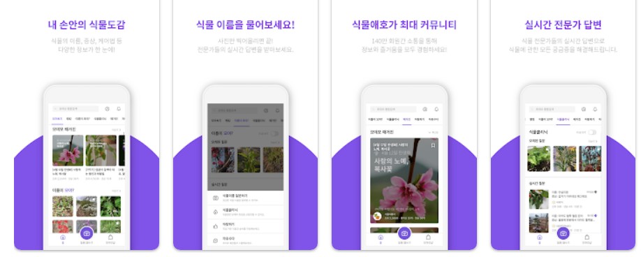 모야모앱 기능