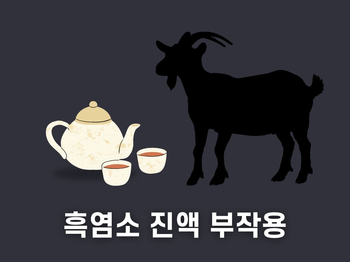 흑염소 진액 부작용