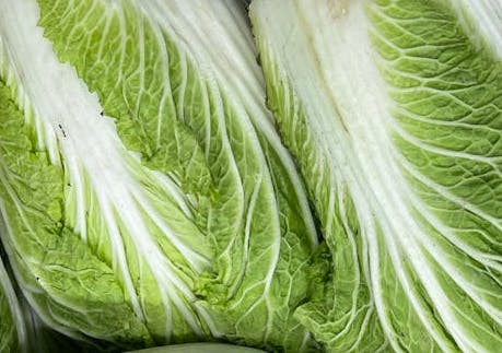 절임배추 20kg 배추 몇포기 가격