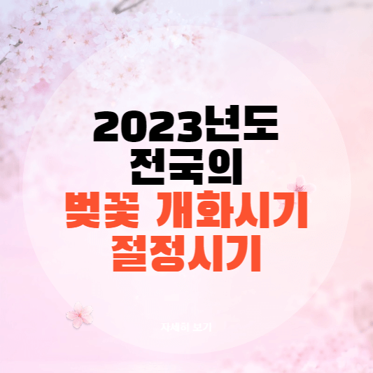 서울 벚꽃 개화시기
